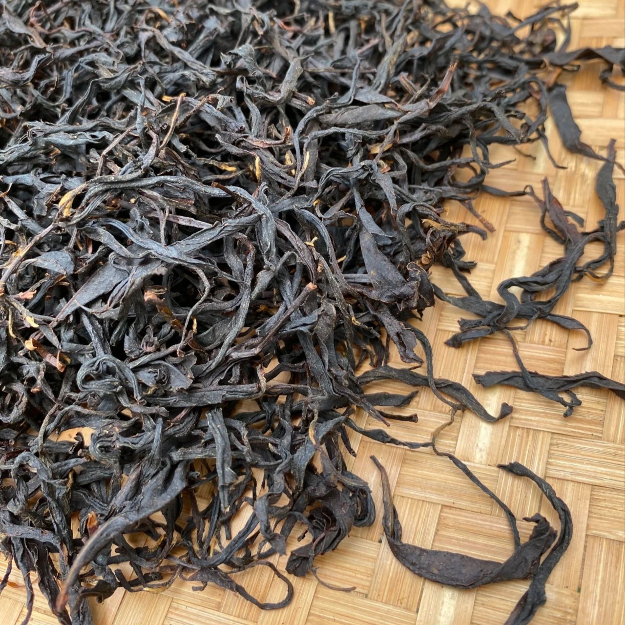 荒野百年茶树老枞小种正山红茶人工采摘小菜茶金牡丹观音独特山场