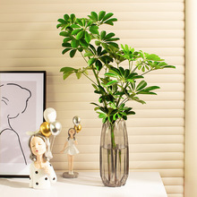 ˮ_ľԾGGֲ҃ȿ͏drձRƽˮBRľֲ