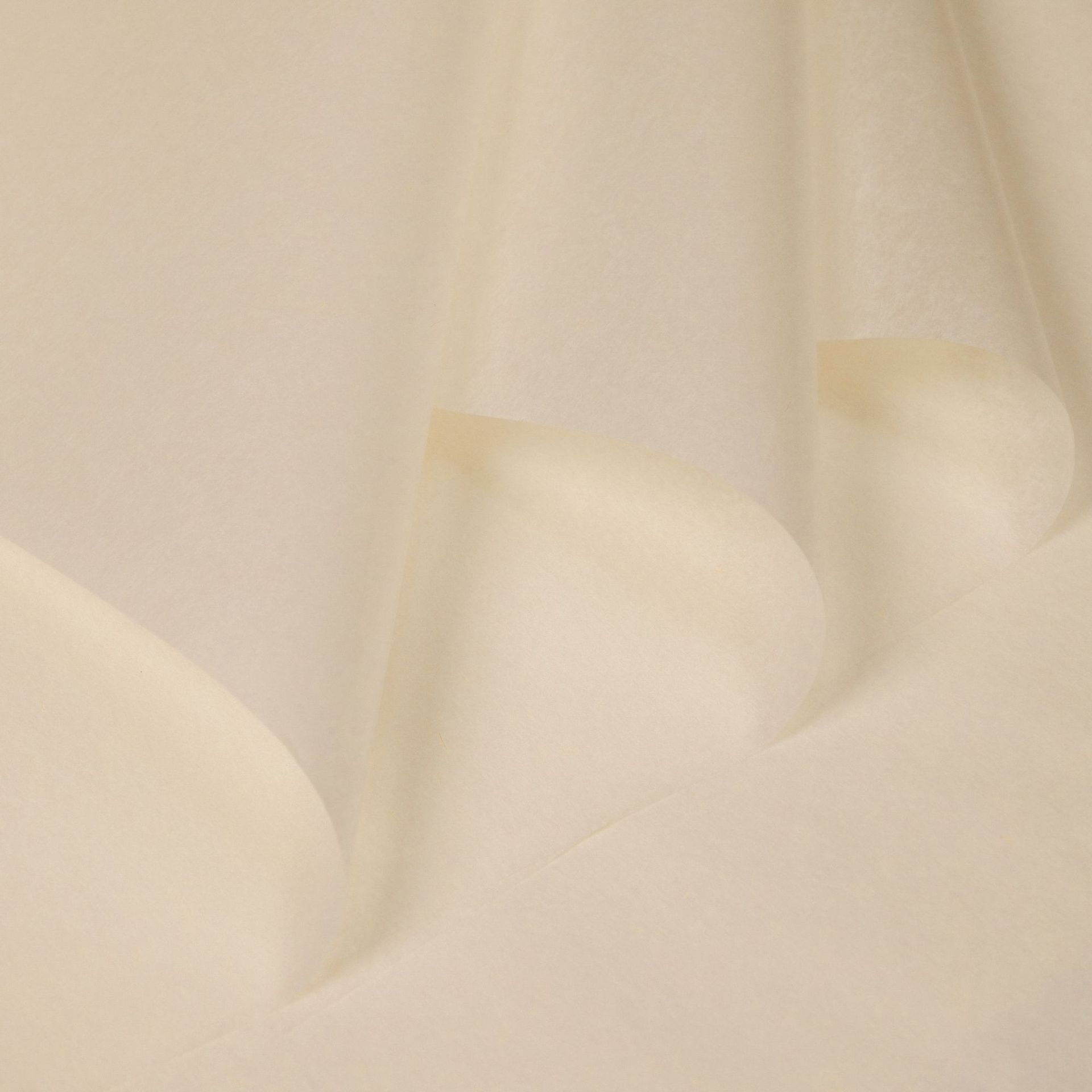 단색 미색 36 장의 사진