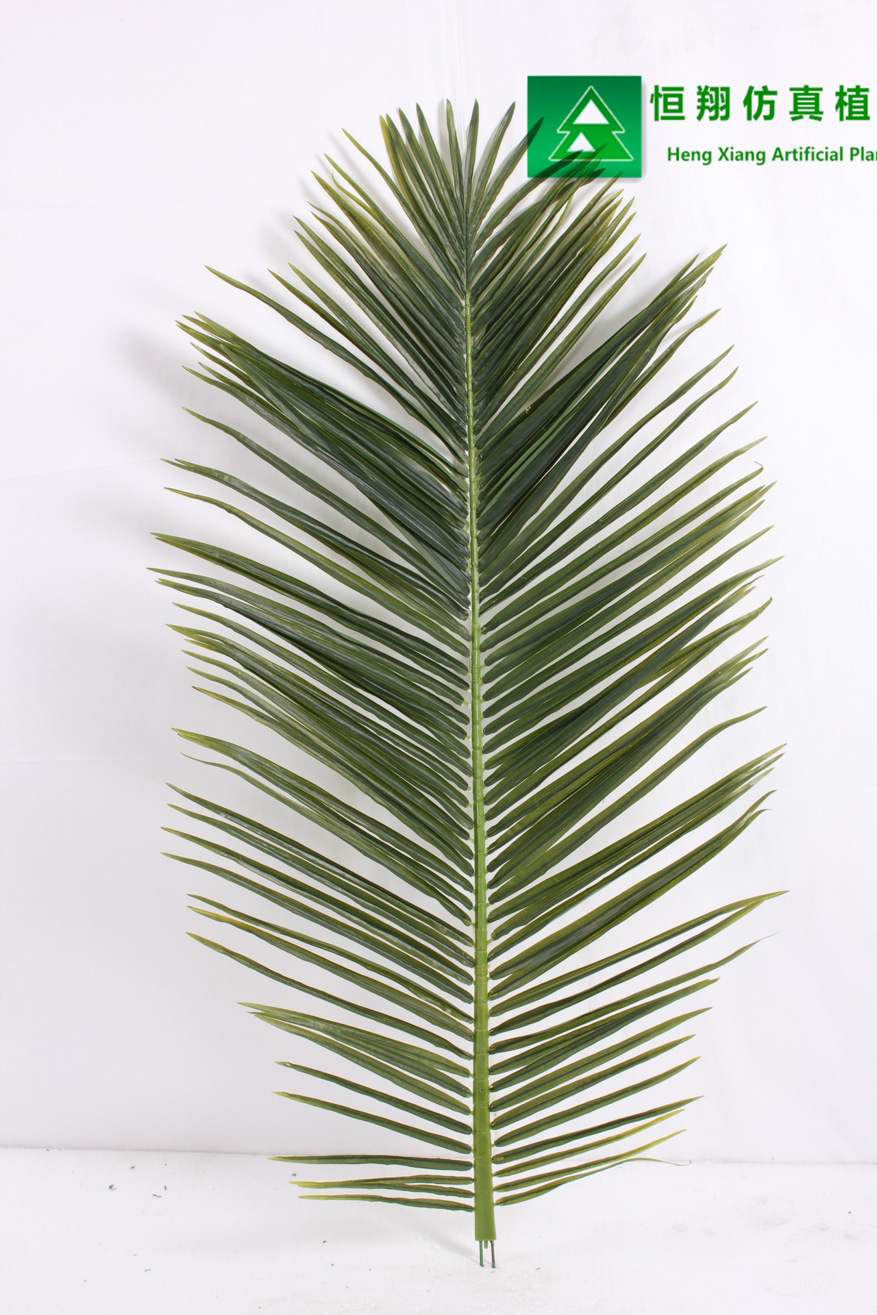 HX030301 椰子葵叶  200CM