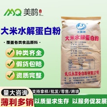 大米水解蛋白粉永国食品级 蛋白质发酵大米蛋白粉现货速发