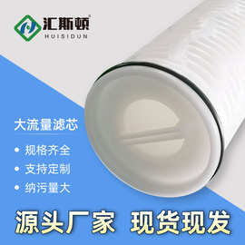 厂家可定制工业水处理滤芯20寸40寸PALL保安过滤器折叠大流量滤芯