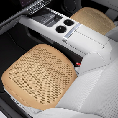 Seat cushion, seat cover: Xiaolong Max/H5, all-season universal car seat - autumn-mountain-chestnutfront-row-2-pieces