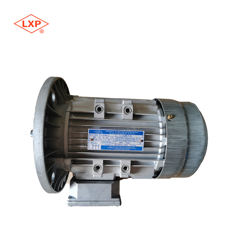 龙欣 YE3-80M2+2高效率三相异步电动机 噪声低 振动小 高速电机