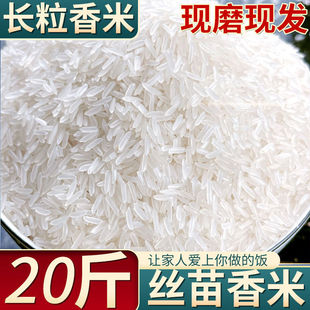 ����20��Ȫˮ���L�����׽z����10�ﳣ�������؈����������������