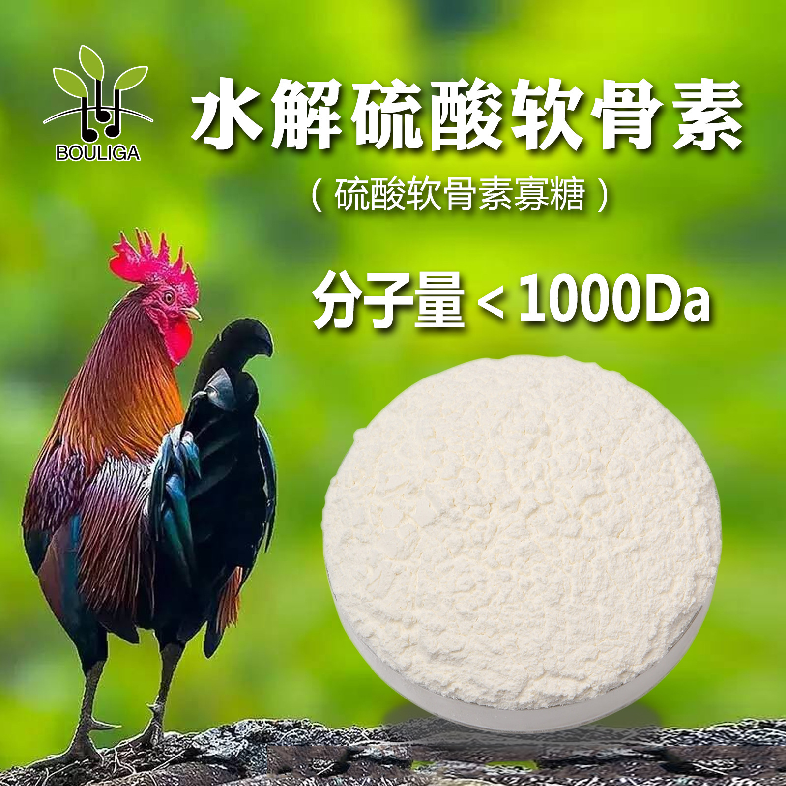 水解硫酸软骨素小分子软骨提取物现货供应白色粉末食品级鸡骨关节
