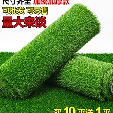 ��ƺ�|�ӑ����b����ϾGɫ�پGֲ�׃��@��̺�����˹���Ƥ����