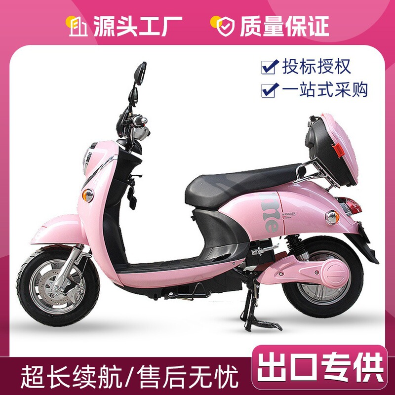 Cross-Border Little Turtle King Electric Motorcycle for Men and Women Commuting Long-Range Battery Car Adult High-Power Battery Car