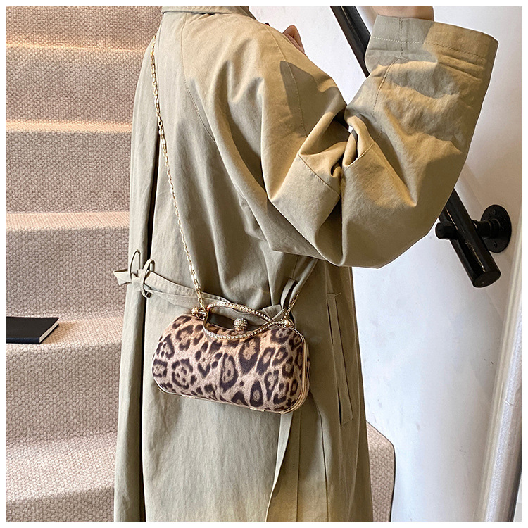 European and American style leopard print chain small square bag for women, 2024 new Korean style fashionable single-shoulder bag, flared crossbody dinner bag undefined