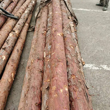 厂家承接供应白松松木桩 量大优惠 质量保障