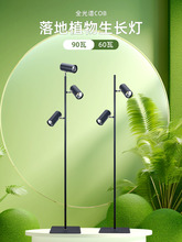 �҃ȷ�̫ꖹ⻨�ܾGֲ���a��� �̨������ؿ�ȫ���Vled���L��