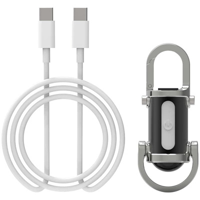 UV fənərlər Flashlight - silver-black