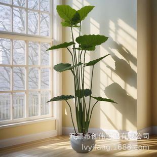 ֲ��0.85-1.6�װ��UҰ���ָ��~�e���͏d�쾰�辰���^�b���