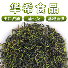 华希基地直供批发新货蒲公英茶叶散装水洗蒲公英茶蒲公英根花茶