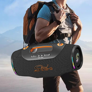 CQS-S666�羳�{������K��400W���ʑ����y�ص����ڏV�������
