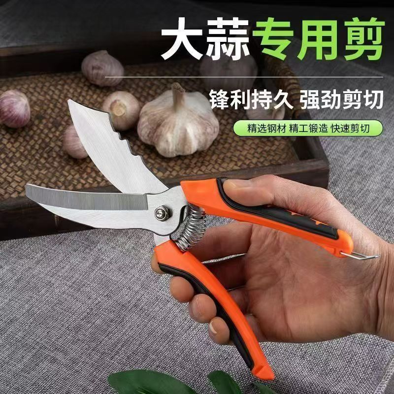 Special Scissors for Garlic Garlic Shear Garlic Artifact Garlic Beard Shear Garlic Shear Garlic Shear Stick Onion Garlic Shear Tool