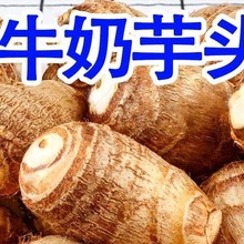 【万人】山东新鲜小芋头毛芋头香芋软粉糯芋艿应季蔬菜包邮
