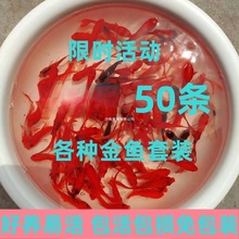 ���~���\��С���~���^�p�~�ͻˮ����~������B���B��ˮ