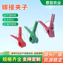 蔬菜嫁接夹大棚育苗平口圆口蟹爪兰嫁接专用夹子苗木西瓜嫁接