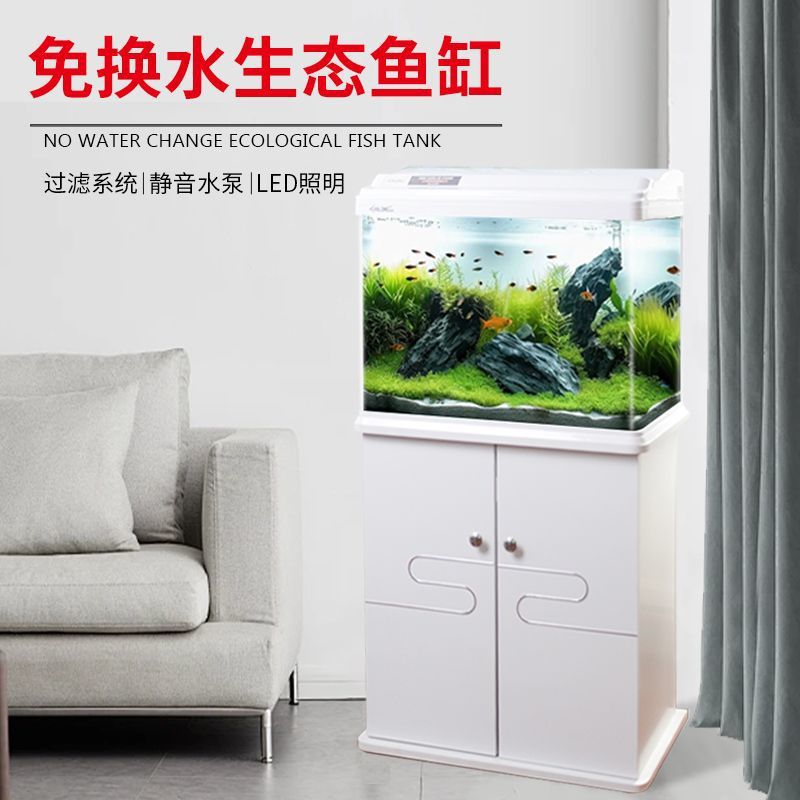 098d0f64-4672-45c8-ab94-ff7f63ae7a09.jpe