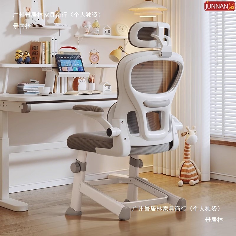 Children's Learning Chair, Special Writing Desk Seat for Middle and High School Students, Liftable and Adjustable Ergonomic Chair