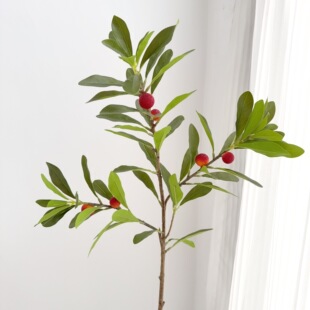 ������~�ָЗ�÷�~��Ʒ�|��÷��֦�@���쾰�廨�b�÷�����~��