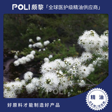 ��˹�၆�ЙC�M�ڲ����yɼ����ԭ���M�چη��������l�H��η�����