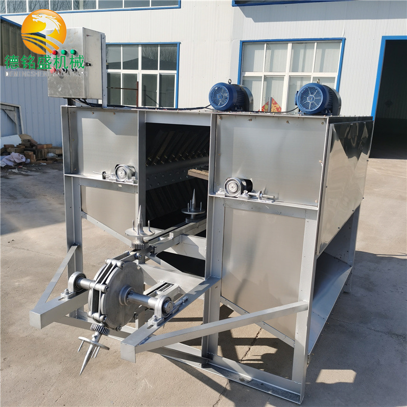 连续式猪头去毛机 速度可调的去猪头毛设备