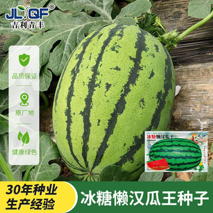 �Нh�������ϷN���ش����ϷN�����������������ϷN���ļ��Nֲ