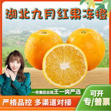 �����x���������¼tĚ�� ���l5/9������������r�ЋDˮ�����M�ϳ�