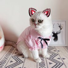 猫咪衣服可爱防掉毛夏季薄款韩版ins衬衫英短蓝猫布偶猫宠物夏装