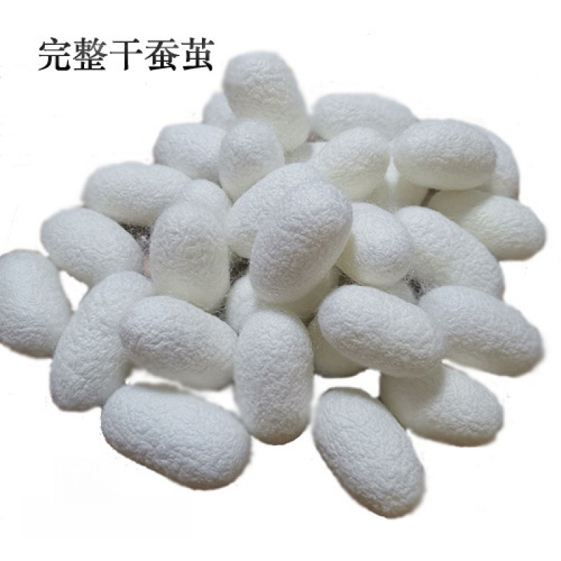 完整天然美容蚕茧美工蚕茧白色茧子彩色蚕茧干茧活蛹茧洁净高品质