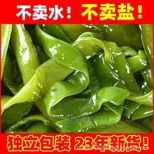 新鲜海白菜海藻盐渍海带5斤整箱裙带菜裙带梗非干货海裙菜海菠菜