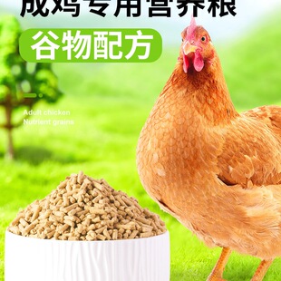 �д��u�������s�Z�J���u�a���µ��w���u�Z�uʳĸ�uС�u��~��C