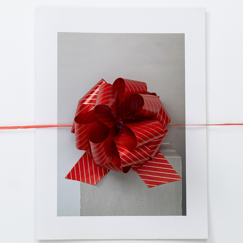 Flores de Navidad 1
