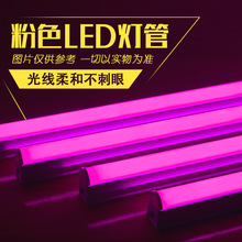 led���ܷۼtɫ�չ��������Ȥ�{��һ�w��ɫT5T8�Շ����l�L�l���