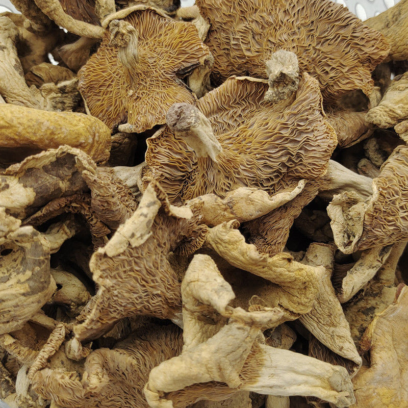 野生土特产杂菌白蘑菇干货农家山货干菌菇菌子食材