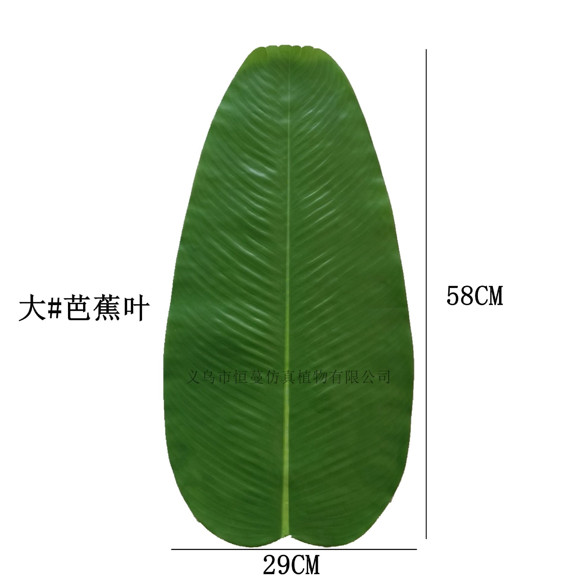 Daun pisang besar