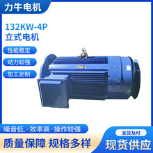 �|������ ����132KW-4P��ʽ늙C �w���C��늙C ���ஐ��늙C ���l