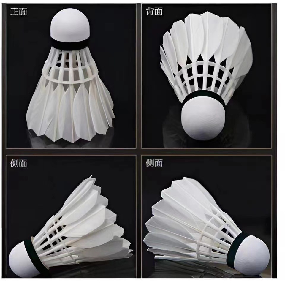 37601419-fd33-47e6-90f8-a62292836c79.jpe