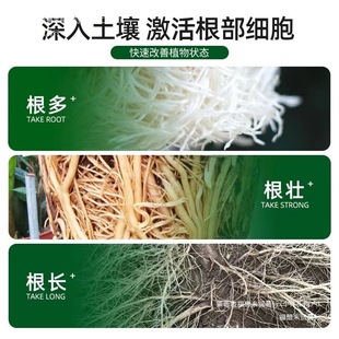 Fruit Dead Tree Potion, Universal Large Tree Resurrection Rooting Agent, Transplanting Florals and Plants, Cutting Trees, Free Shipping