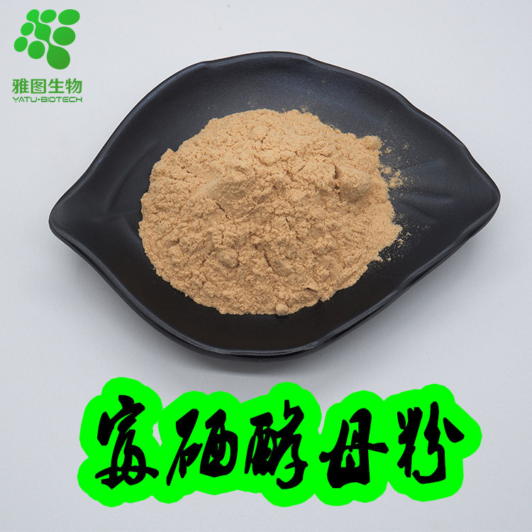 富硒酵母粉食品级酵母粉酵母硒酵母提取物微量元素硒原料有机硒