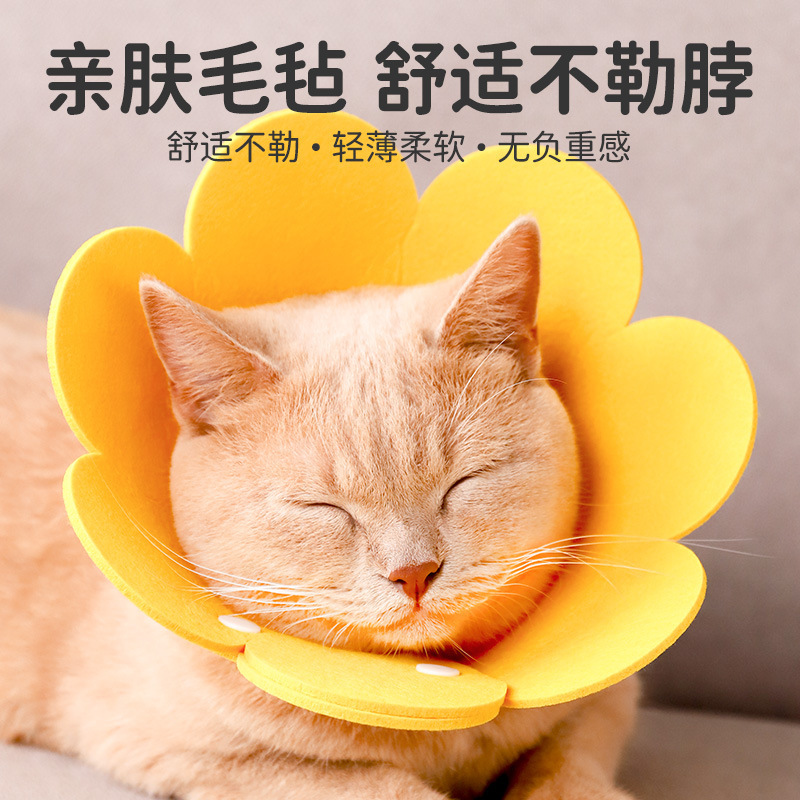 エリザベスリング猫絶育首輪猫の頭カバーは首をかむのを防ぎます。|undefined