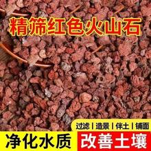天然火山石颗粒多肉铺面红色火山岩垫底大块花盆造景兰花盆栽专用