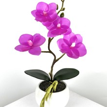 ���滨��ӡ�bٻ���������m�Ҿ��ָз���2��8�^�����m�辰