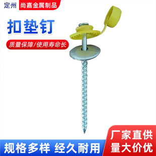 Manufacturer Supplies Household Hardware Corrugated Nails, Daily Packaging Cap Nails, Umbrella Nails, Large Head Umbrella Cap Corrugated Nails