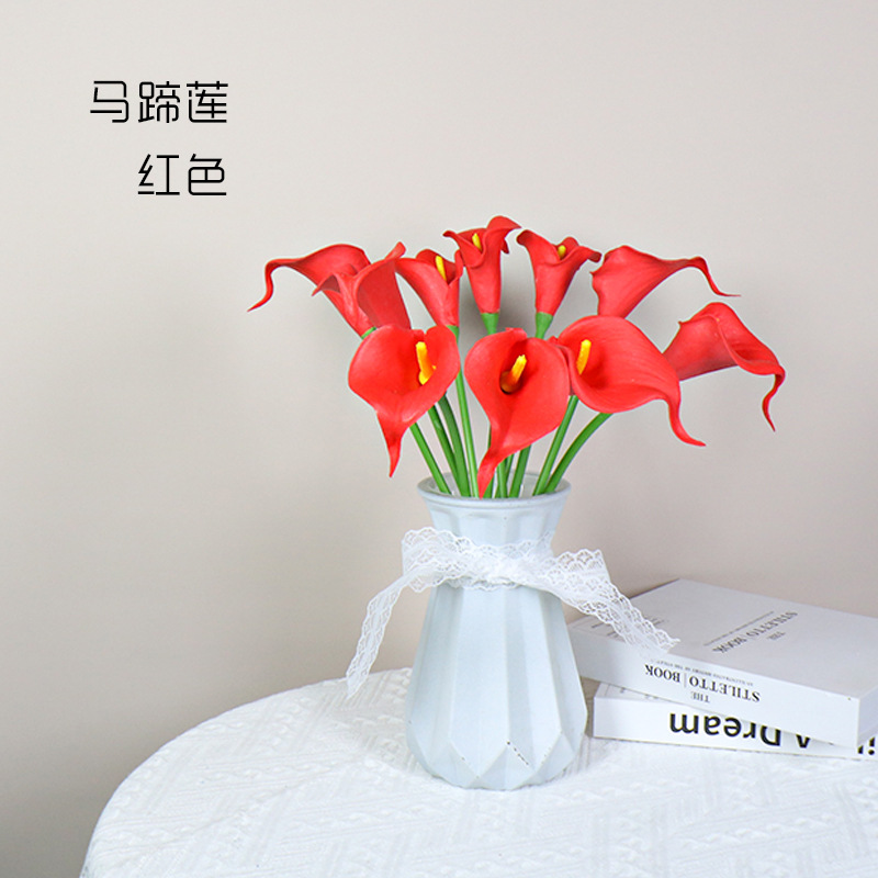 칼라 릴리-레드(노란색 코어)