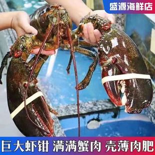 �r���ك���ʿ�D�����r һֻ-�����r ���r���ô������