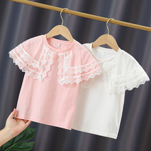 高档外贸童装儿童短袖t恤夏季翻领女童夏装半袖时尚外穿薄款上衣6