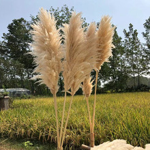 ��Ʒ�W�t���JȔ��Ȕ�ɻ������b����ɻ�c�Ĕz��ؔ[�쾰��Ȼ